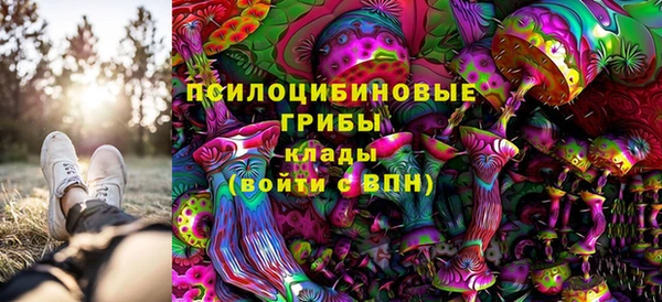 амф Баксан