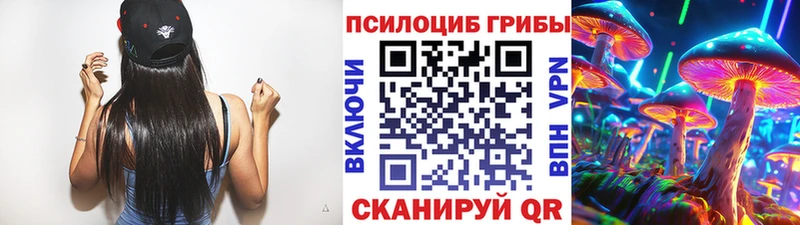 Галлюциногенные грибы мицелий  хочу наркоту  МЕГА ссылка  Вольск 