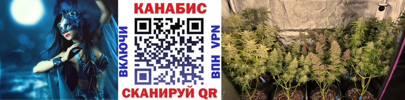 Шишки марихуана планчик даркнет сайт Вольск